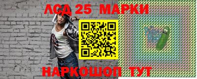 индика Новозыбков