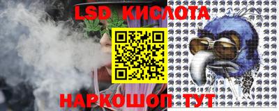 гидропоника Новокубанск