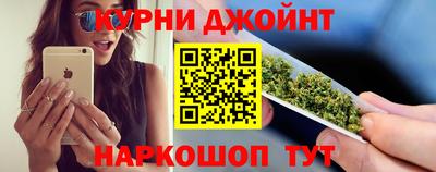 индика Новозыбков