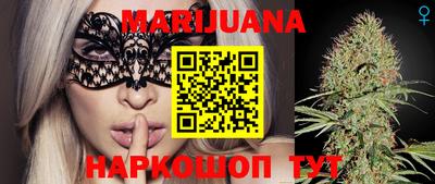 индика Новозыбков