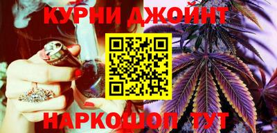 индика Новозыбков